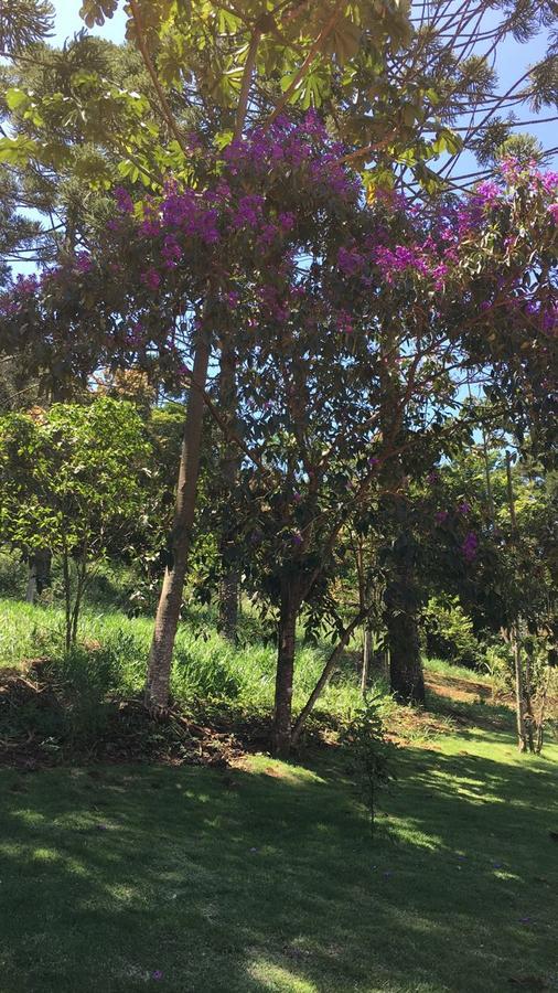 Pousada Canto Dos Passaros Itanhandu Buitenkant foto